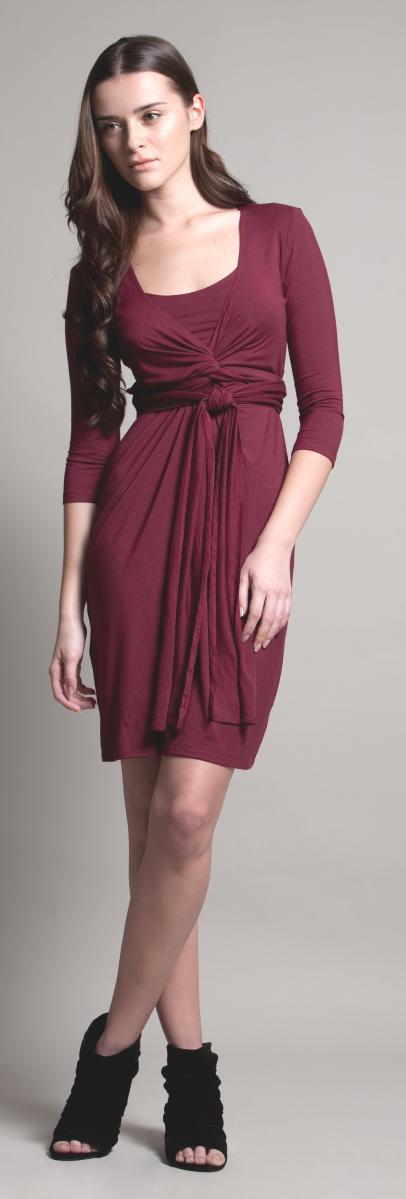 dote-madison-nursing-dress-2.jpg