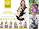 lillebaby-complete-all-seasons-baby-carrier-all